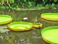 IMG_1495 copy